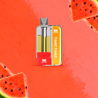 THAT THAT P-12000 Disposable Vape | Full Kit Price Bangladesh._img_2